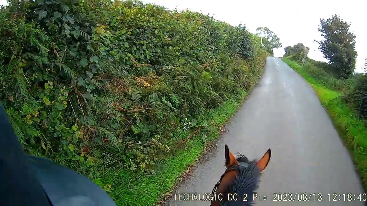 Techalogic DC-2 Pro Dual Lens Camera - Front View Footage