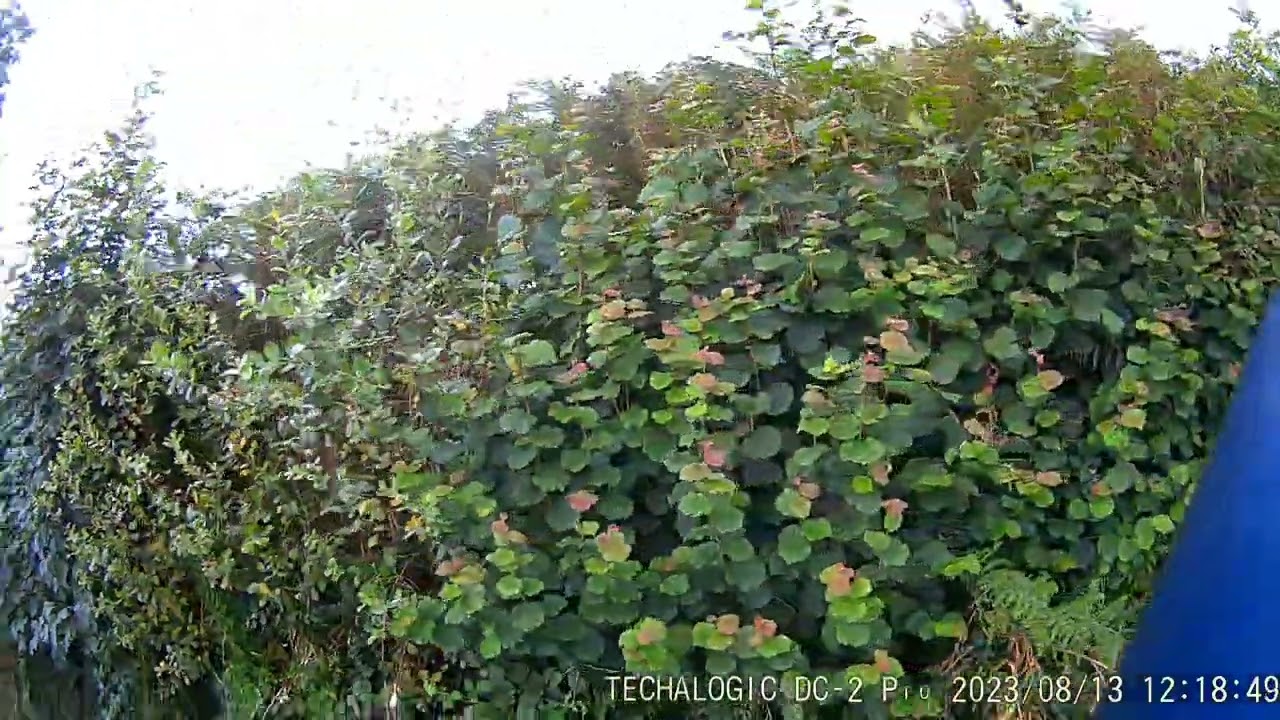 Techalogic DC-2 Pro Dual Lens Camera - Rear View Footage