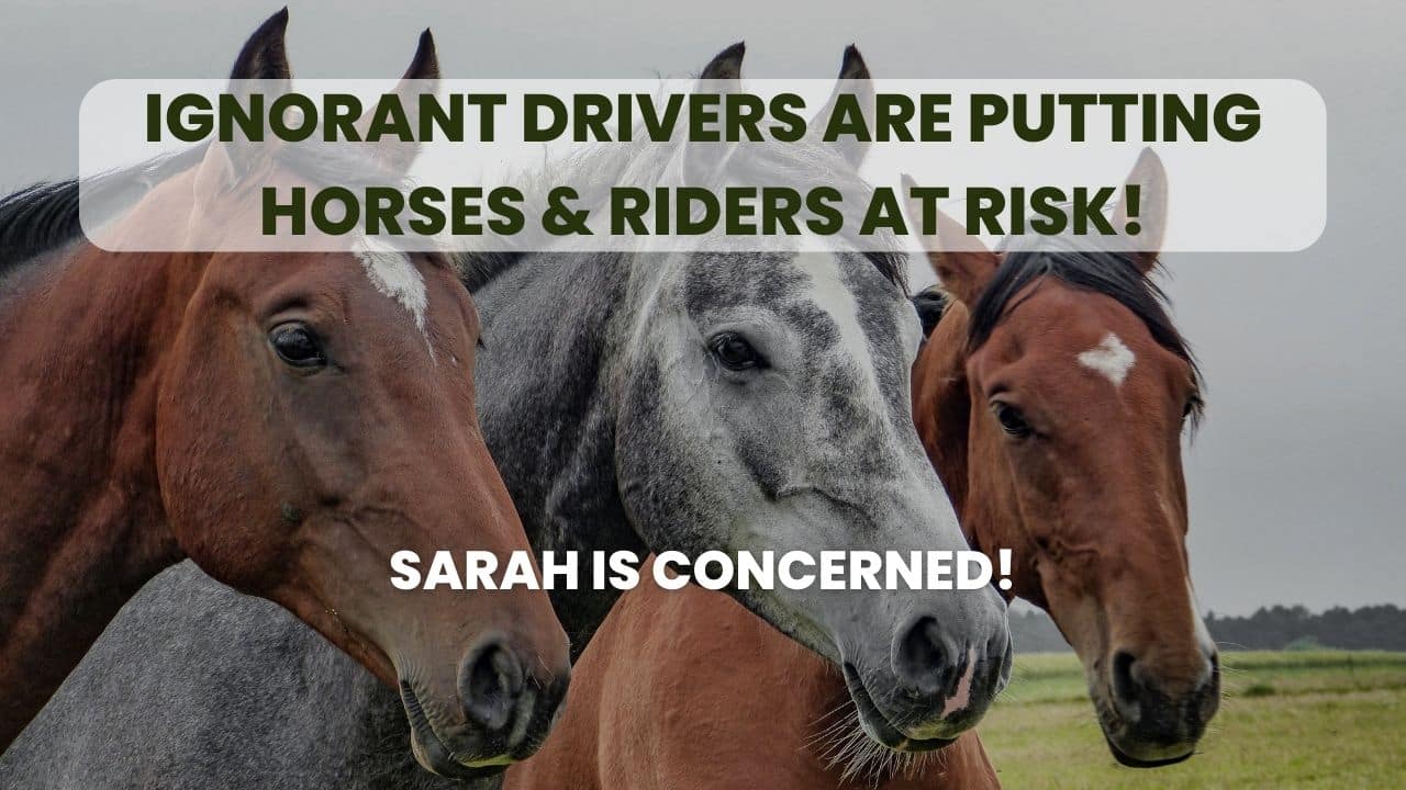 Ignorant drivers are putting horses & riders at risk! Sarah is concerned